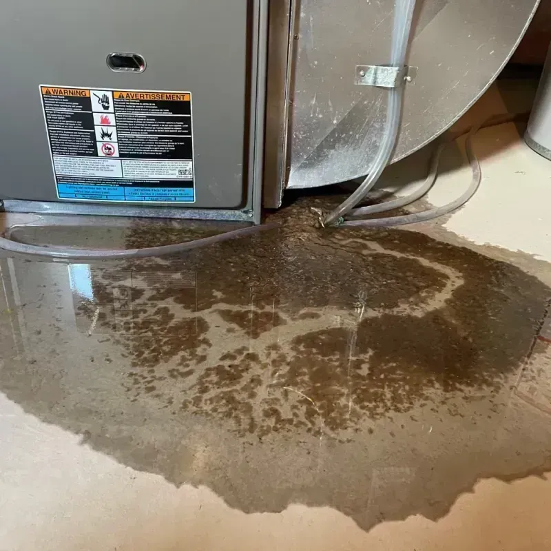 Appliance Leak Cleanup in Esther, MO